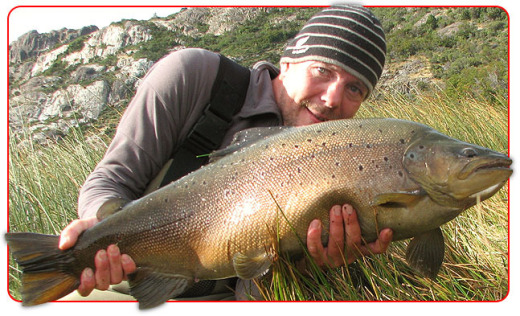 chilean brown trout.jpg