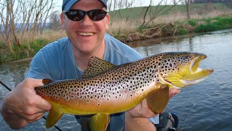 colorful_brown_trout.jpg