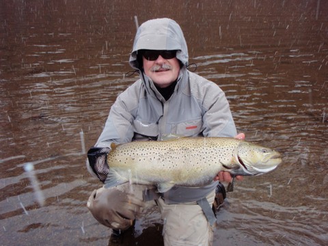 great_lakes_brown_trout.jpg